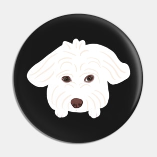 Innocent Maltipoo Pin