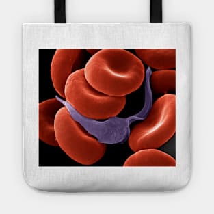 Trypanosome amongst blood cells, SEM (C021/7271) Tote