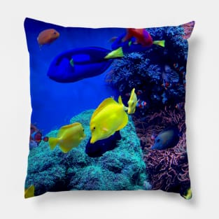 Aquarium Fish Pillow