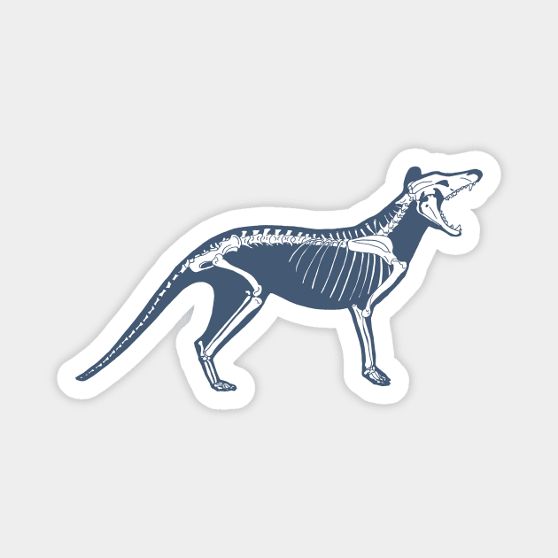 Thylacine skeleton Magnet by RJDaae