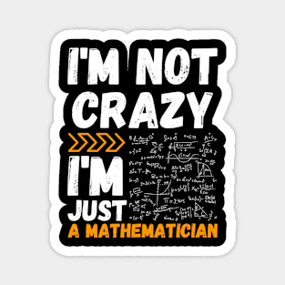 I'm not crazy, I'm just a mathematician Magnet