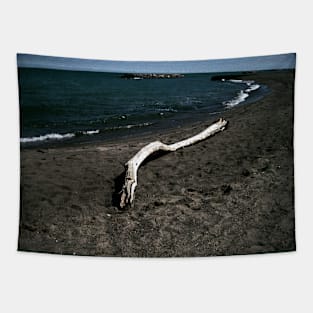 Driftwood Tapestry