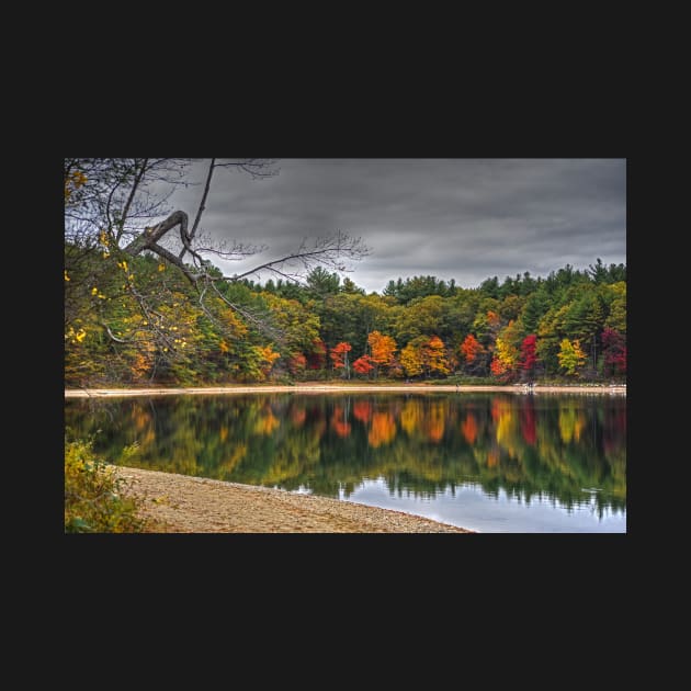 Walden Pond Fall Foliage Concord MA by WayneOxfordPh