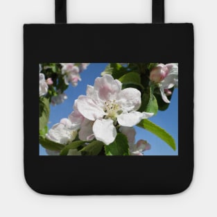 Apple Blossom Tote