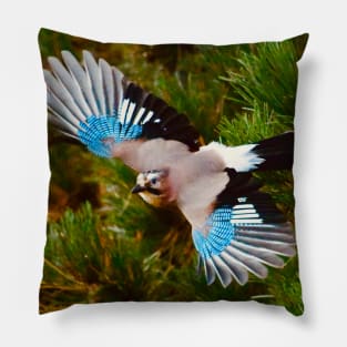 Jay Bird / Swiss Artwork Photography Pillow