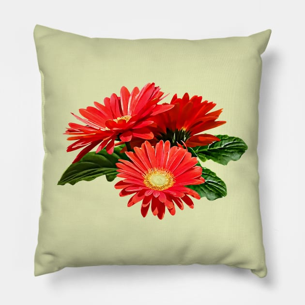 Red Gerbera Daisy Trio Pillow by SusanSavad