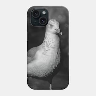 Seagull Saturday. Phone Case