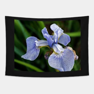 Blue Iris flower head Tapestry