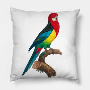 Vintage Eastern Rosella Illustration Pillow