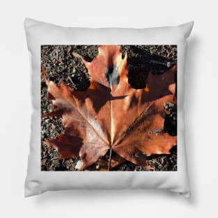 Orange leaf, autumn Pillow