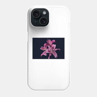 850_4494c Phone Case