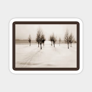 Landscape in snow Magnet