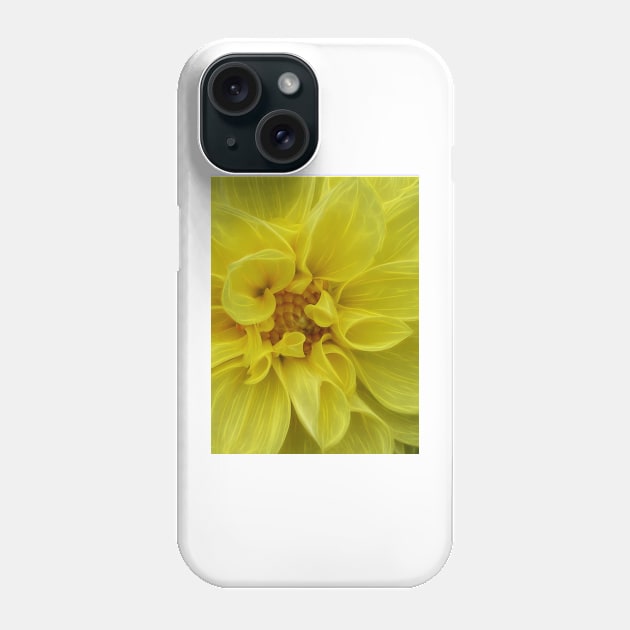 dahlia in full bloom and glowing bright yellow flower head in closeup Phone Case by mister-john