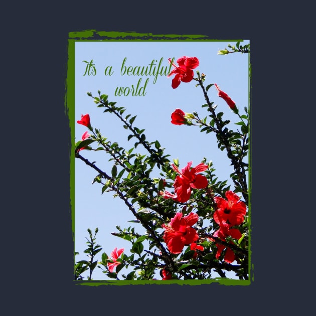 beautiful world with hibiscus tree on the blue sky into vintage frame by Alina