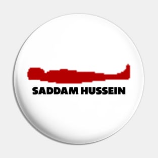Saddam Hussein's Hiding Place Pin