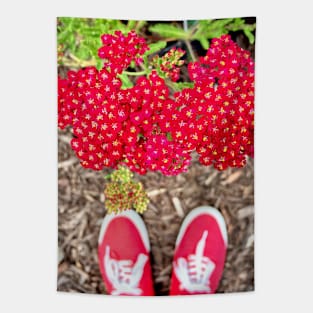 Ruby Red Yarrow Achillea Tapestry