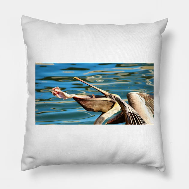 Big Mouth Pelican Pillow by Cynthia48