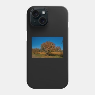 Gnarled fruit tree Phone Case