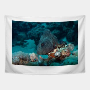 coral reef in the sea Tapestry