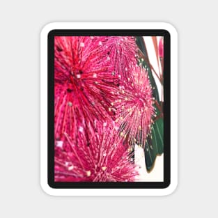 Musk Pink Thread Gum Flowers Design Magnet