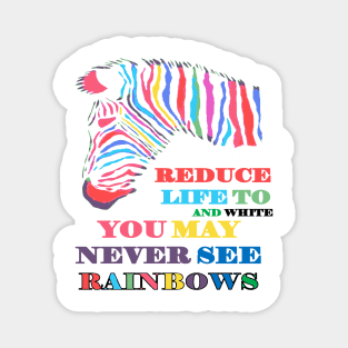 You May Never See Rainbows Zebra LGBTQIA Quote Magnet