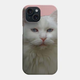 Pink pussy Phone Case