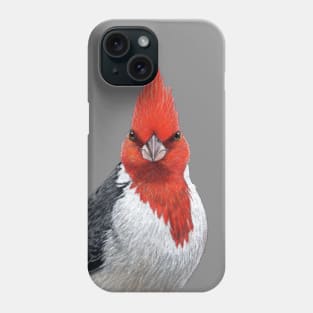 Red-crested cardinal Phone Case