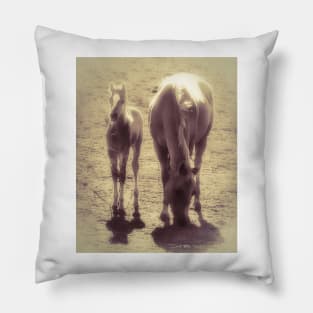 Mother And Child Reunion Pillow