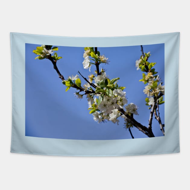 Plum Blossom in Springtime Tapestry by Violaman