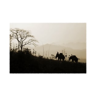 Asian Elephants Trekking In The Jungle Photograph T-Shirt