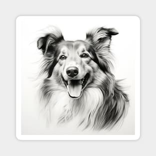 Shetland sheepdog black and white sketch portrait Magnet