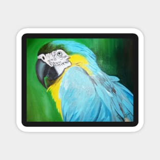 Macaw Magnet