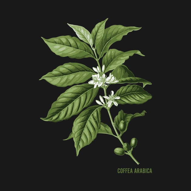 Coffea Arabica - Coffee by fromherotozero