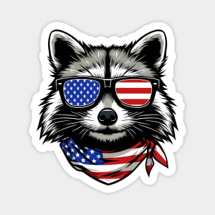 Vintage Raccoon USA Sunglasess Magnet