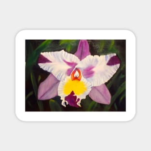 Hawaiian Orchid 1 Magnet