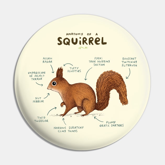 Anatomy of a Squirrel Pin by Sophie Corrigan