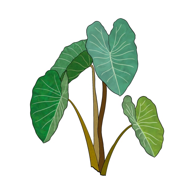 Kalo (Taro) Plant by peachycrossing