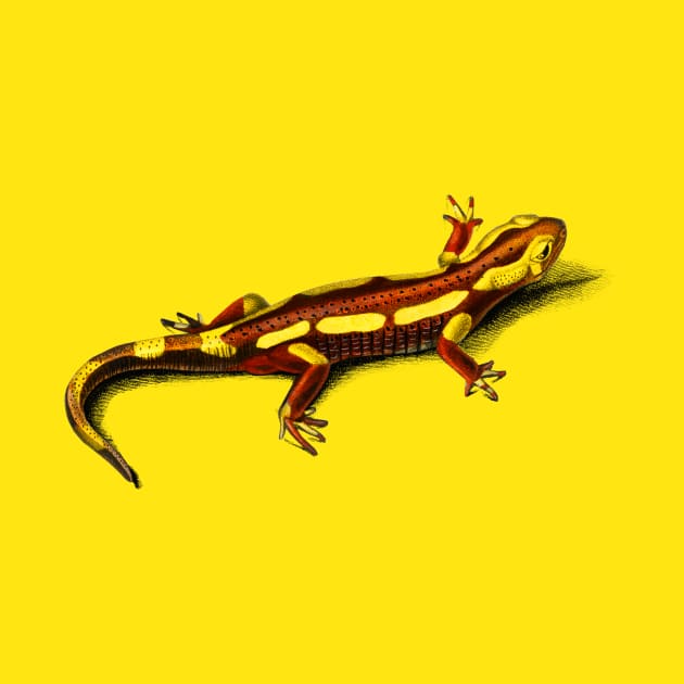 Vintage fire Salamander amphibian by Phantom Troupe