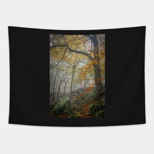 Autumn Trees and Rocks in Mist Tapestry