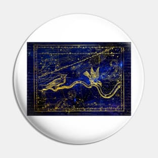 Constellation Pin