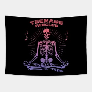 Teenage Fanclub Tapestry