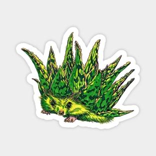 Hedgehog Aloe Magnet