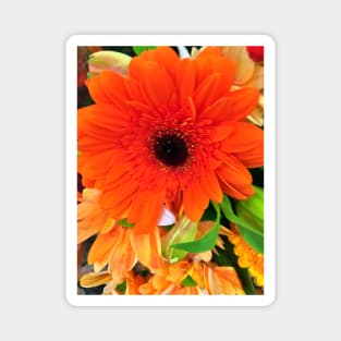 Orange Floral Display - Autumn Bouquet - Flowers Magnet