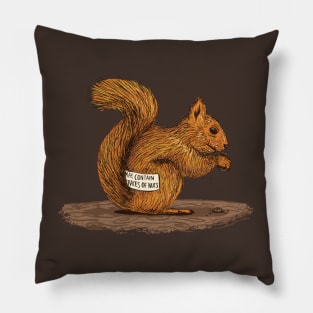 Traces of Nuts Pillow