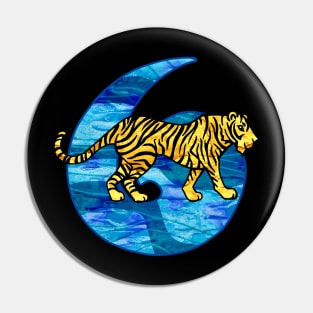 Year of the Water Tiger Pin