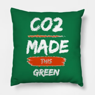 Co2 Made this Green Pillow