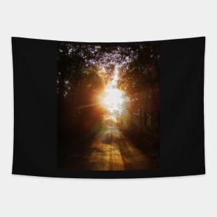 Glory Road Tapestry