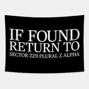 If Found Return to Sector ZZ9 Plural Z Alpha Tapestry