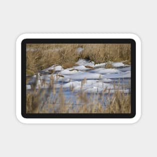 Frozen Pond Magnet