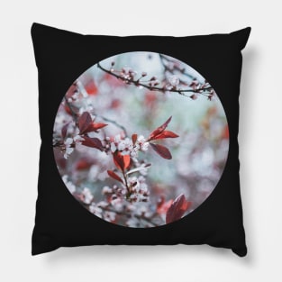 Sakura Cherry Blossom Circle Sticker Pillow